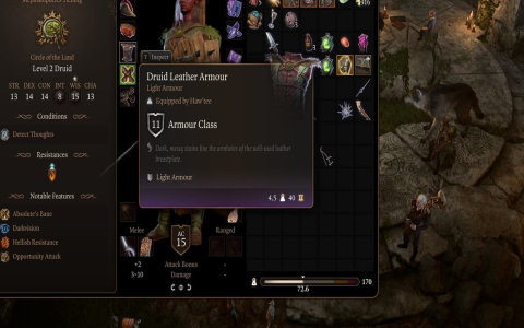 Diablo 2 armor stats explained: Make better gear choices now!