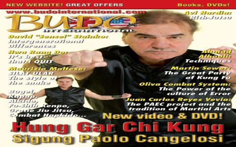 Cheap Tiger Style Kung Fu DVDs Get Discount Martial Arts Workout Discs