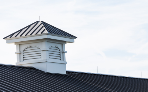Best Turtle Vent Models Comparison Find the Right One for You