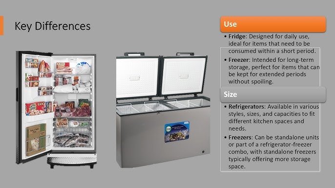 Frozen Carbonite Fridge vs Standard Freezers - Major Differences Revealed