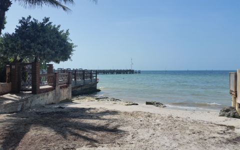 Higgs Beach White Sand and Dogs Allowed Here What Makes It Special