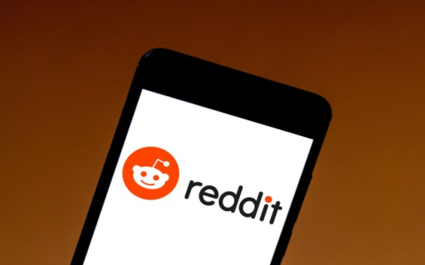 Is Reddit down or is it just my internet problem (Steps to figure out connection issue)