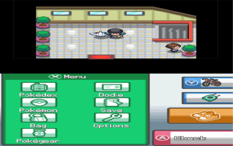 How to Play Pokemon DS Hack Roms Easy Guide for Beginners