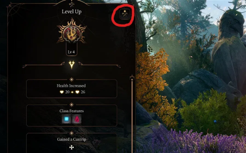 Crusaders Mantle BG3 Guide How It Works and Best Uses