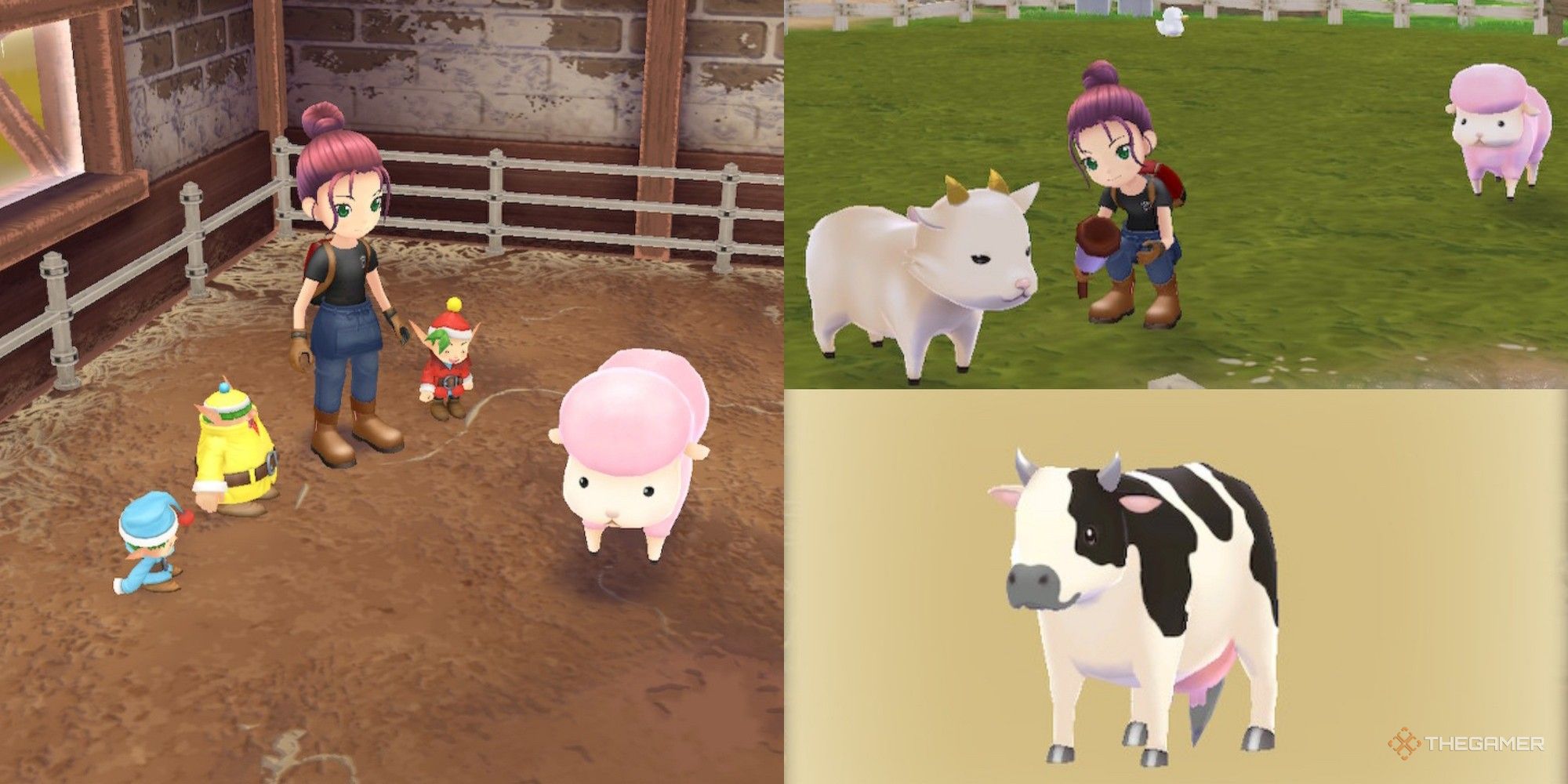 Baby Cow Care in Story of Seasons A Wonderful Life (Best Feed Tips Now)