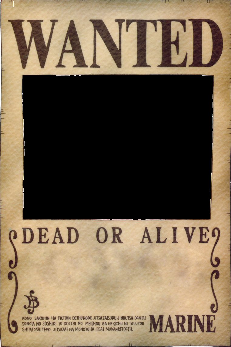 DIY One Piece Bounty Posters Tips (Simple Steps to Make Yours)