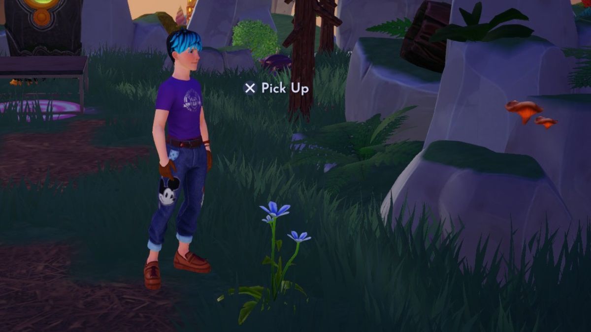 How get blue star lilies Dreamlight Valley simple guide to locate.