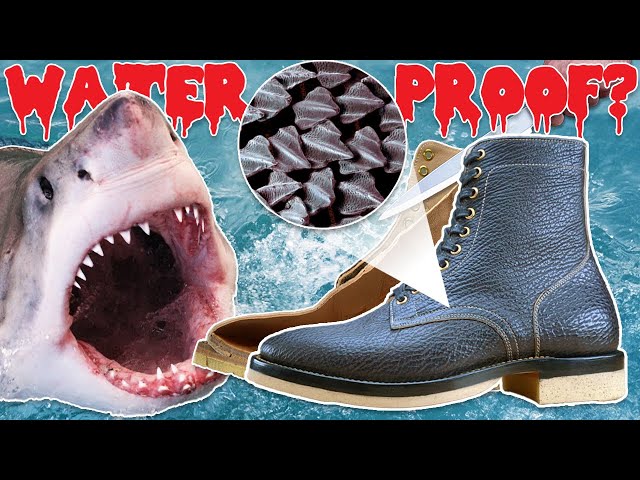 Shark Skin Boots How Good Are They Check Quality Tips Here