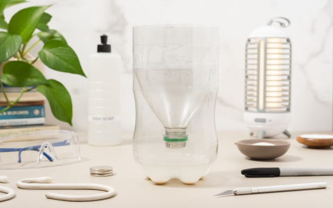 Kill Mosquito Nests Outside Your House in 3 Simple Steps